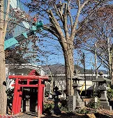 金宿稲荷社の境内と赤い鳥居