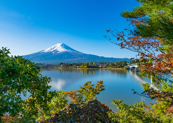 富士トリイホテル内施設の一つであるロビーラウンジ