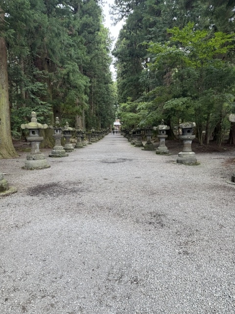 富士の森に佇む浅間神社