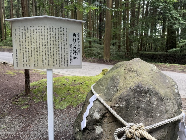 富士の森に佇む浅間神社