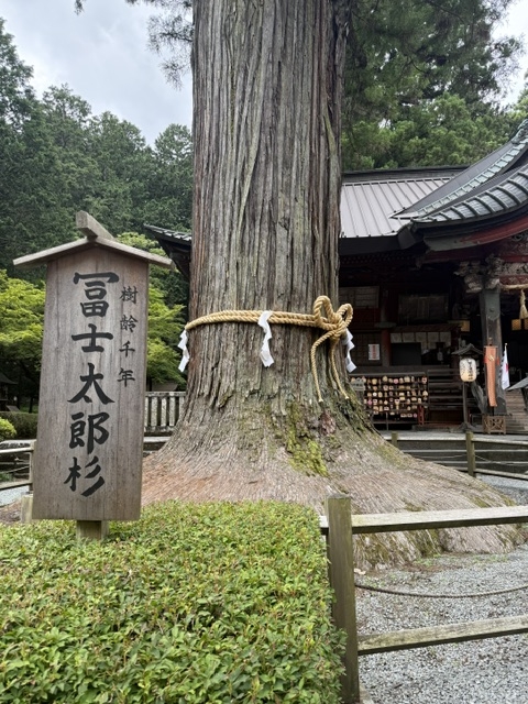 富士の森に佇む浅間神社