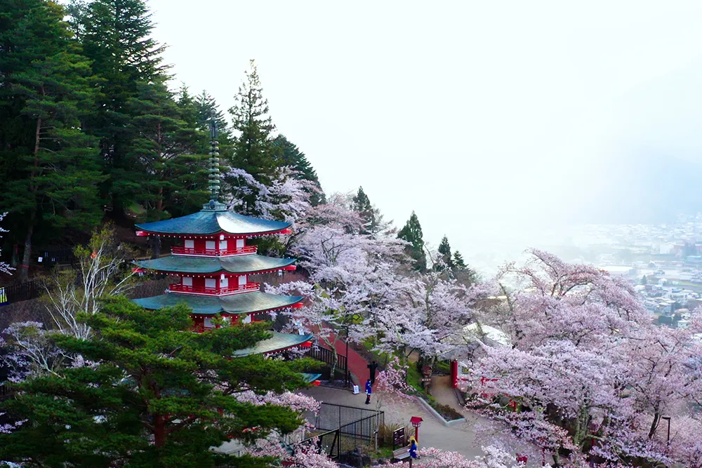 ホテル富士トリイゲート HOTEL FUJITORIIGATE